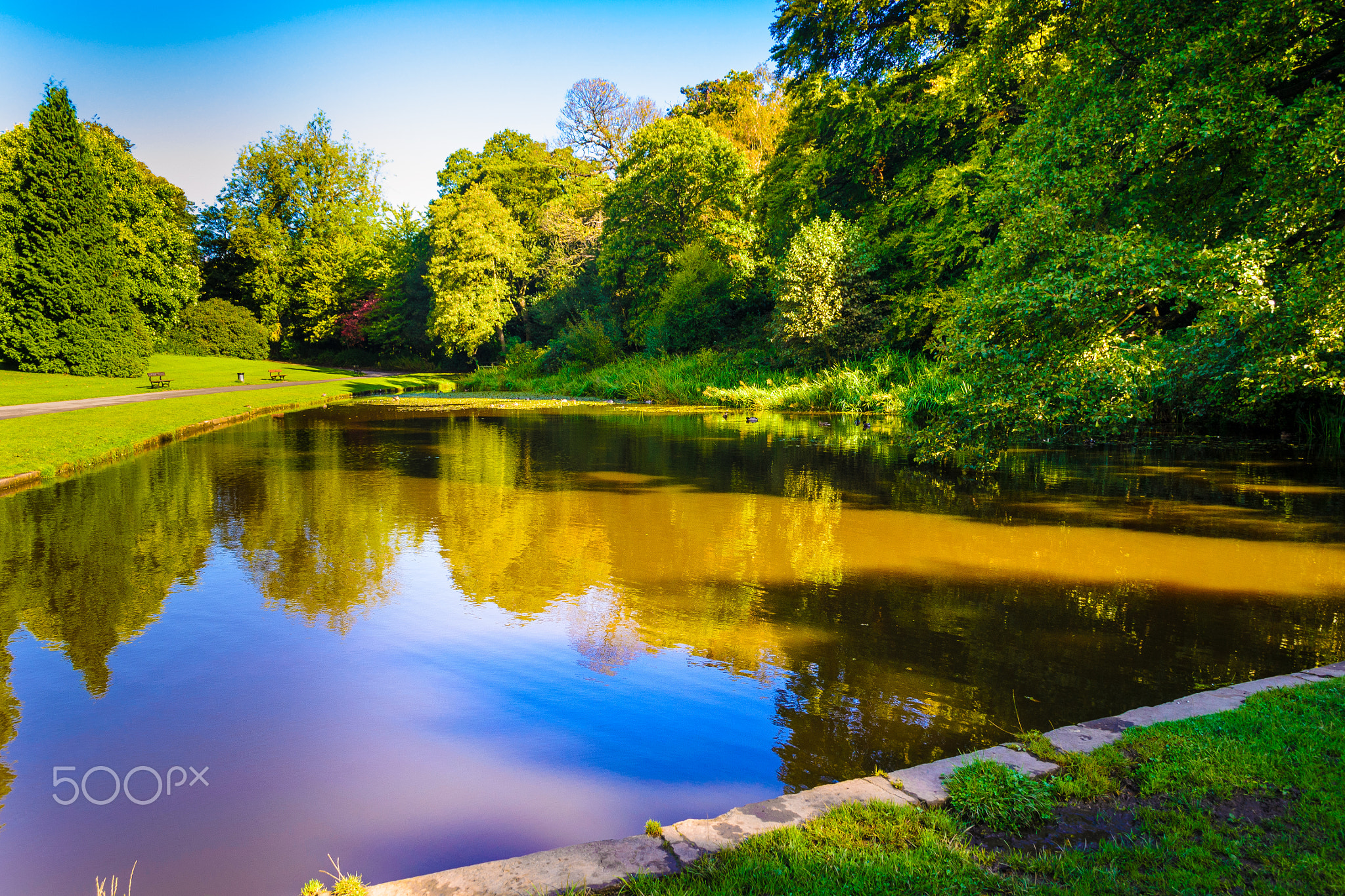 Lowest lake at temple newsam