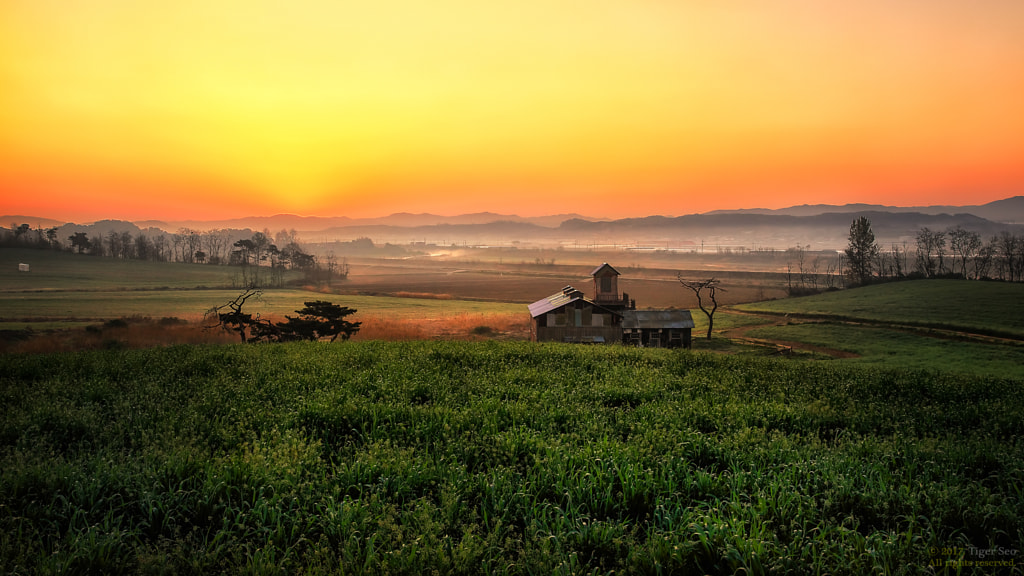 peaceful morning by Tiger Seo on 500px.com
