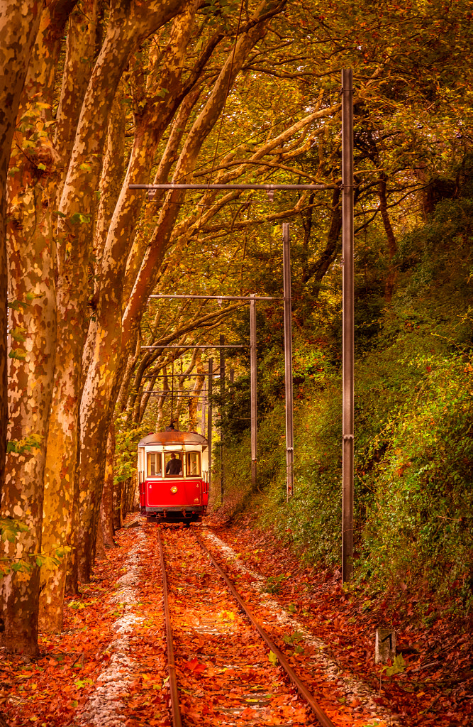 Crazy Tram by Paulo Miguel Costa on 500px.com
