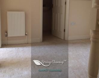 carpet cleaning