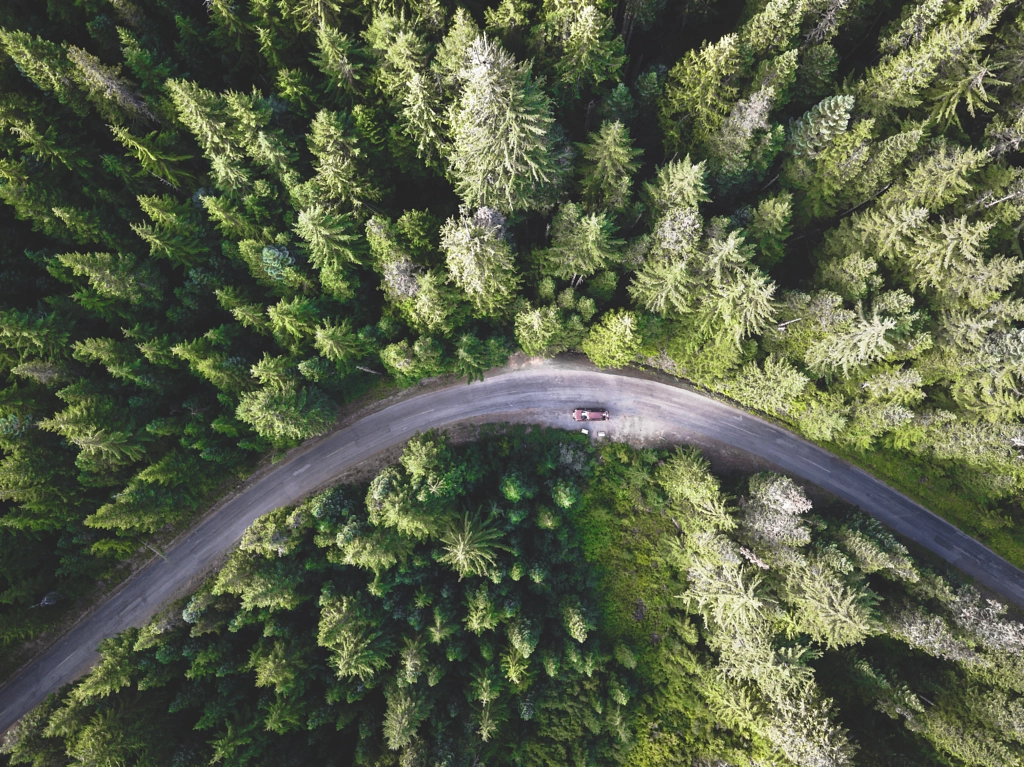 The Road Less Traveled by Kaitlyn McLachlan on 500px.com