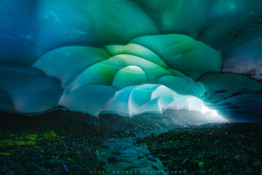 Alien World by Scott Smorra on 500px.com
