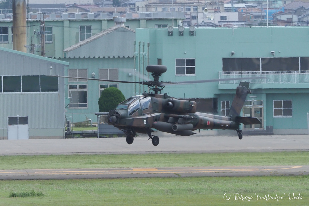 500px.comのTakuma UedaさんによるHovering