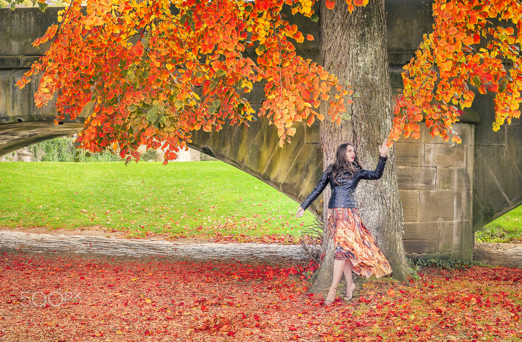 Woman reaching the autumn colored leaves