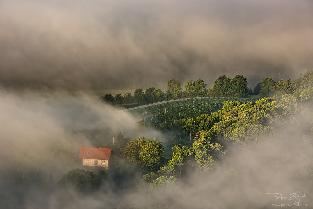 Hidden road I by Peter Zajfrid on 500px.com