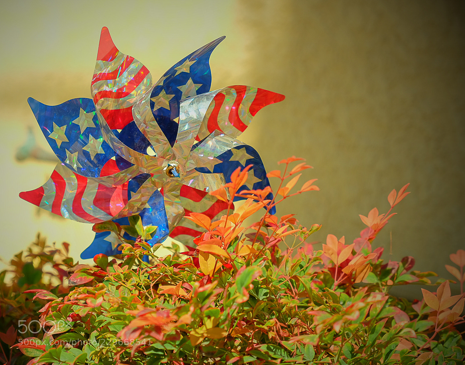 Fujifilm X-T1 sample photo. Spin wheel photography