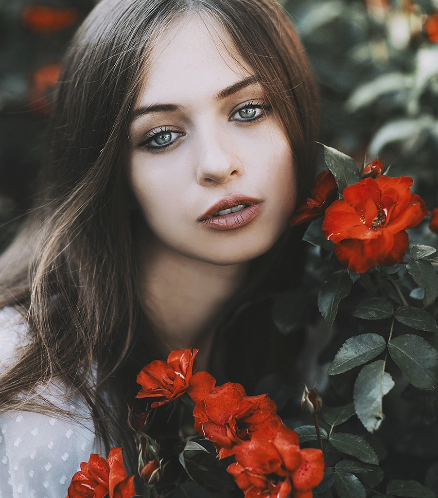 Rose beauty by Jovana Rikalo on 500px.com