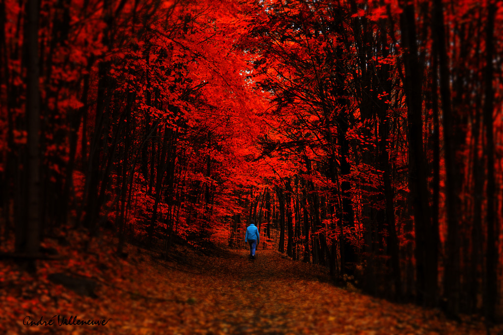 Into the fall by Andre Villeneuve on 500px.com