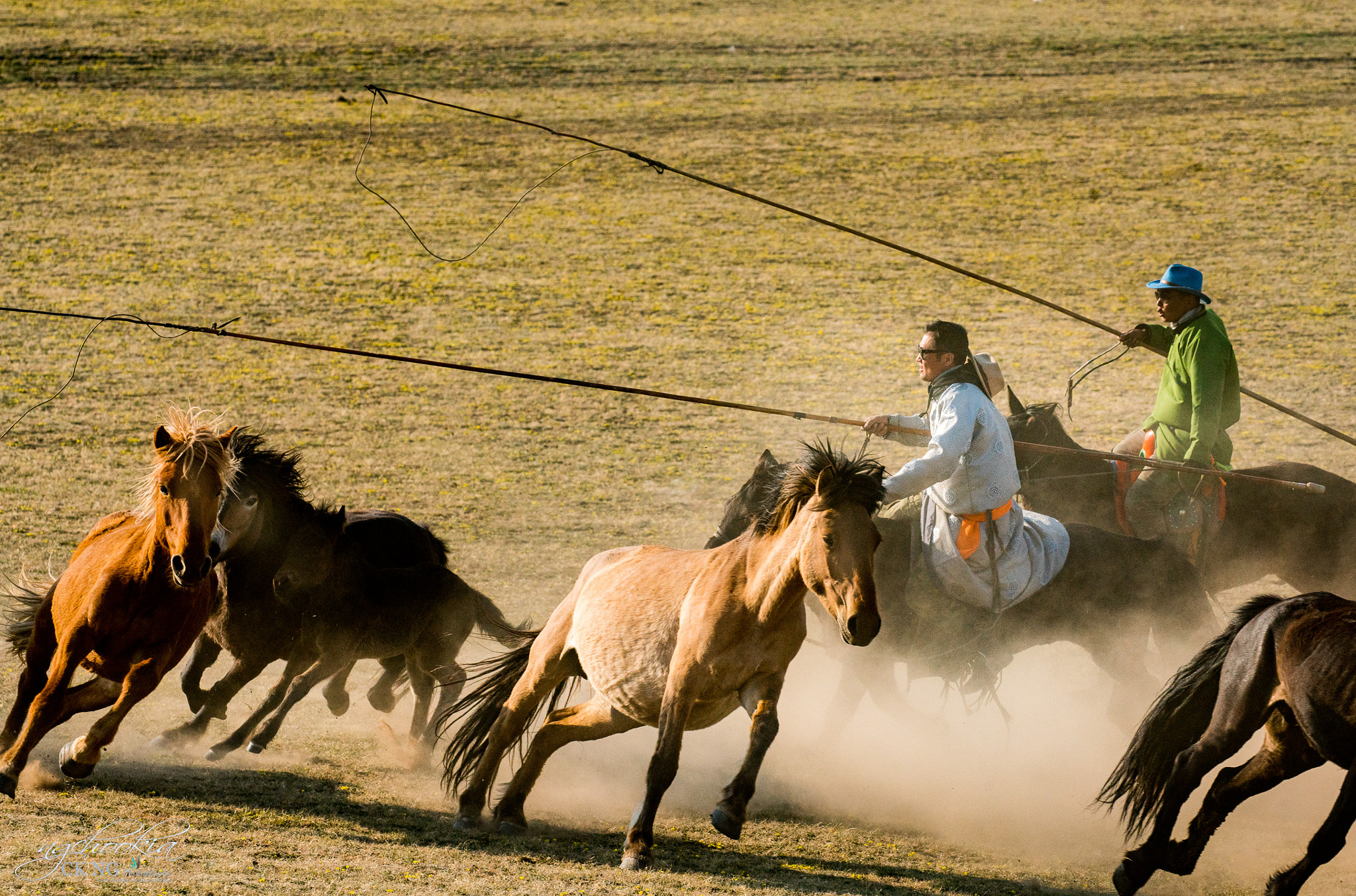 Wranglers II 正蓝旗 - 内蒙古 Zhenglanq Inner Mongolia