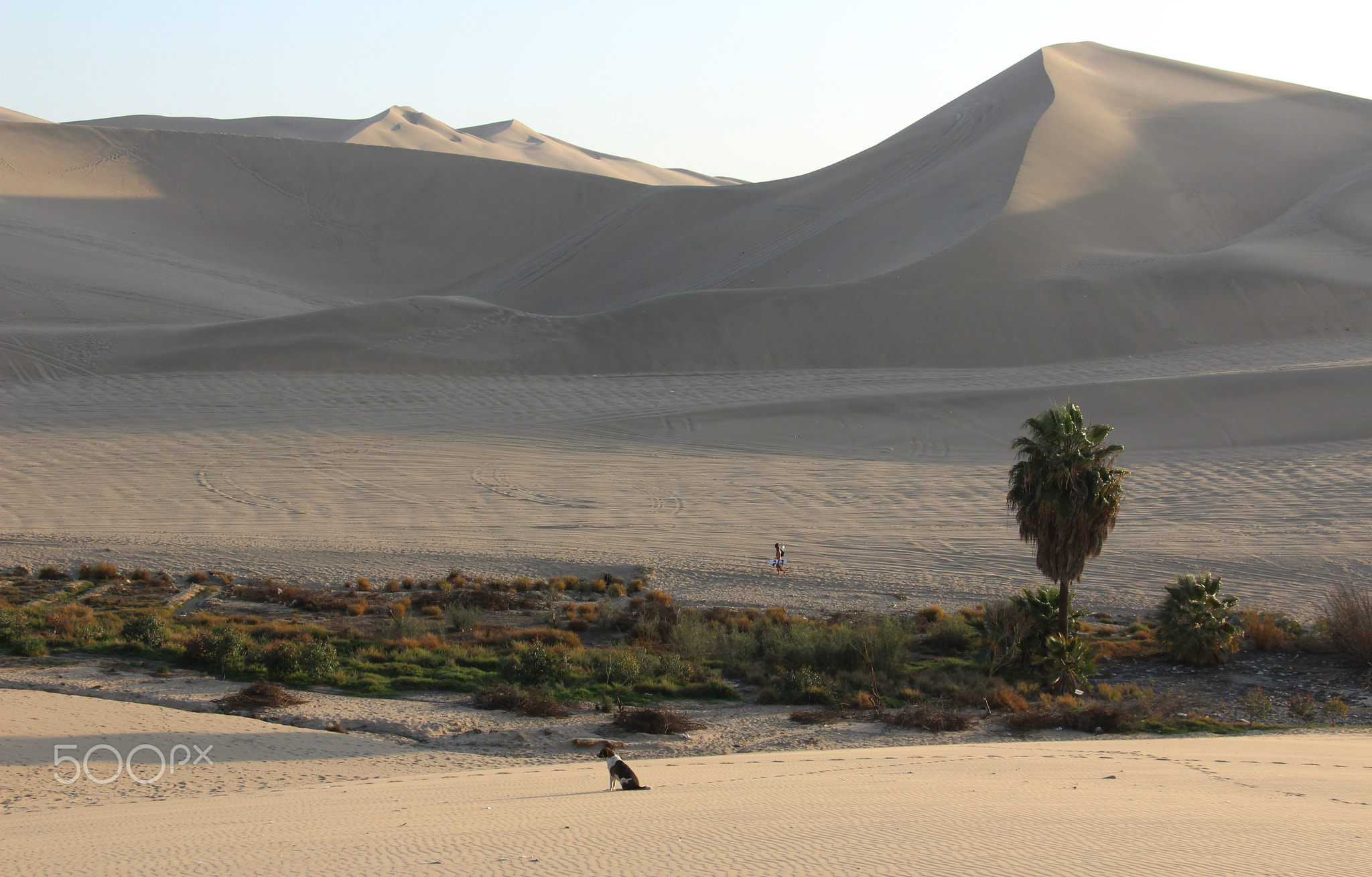 Desert view Huacachina
