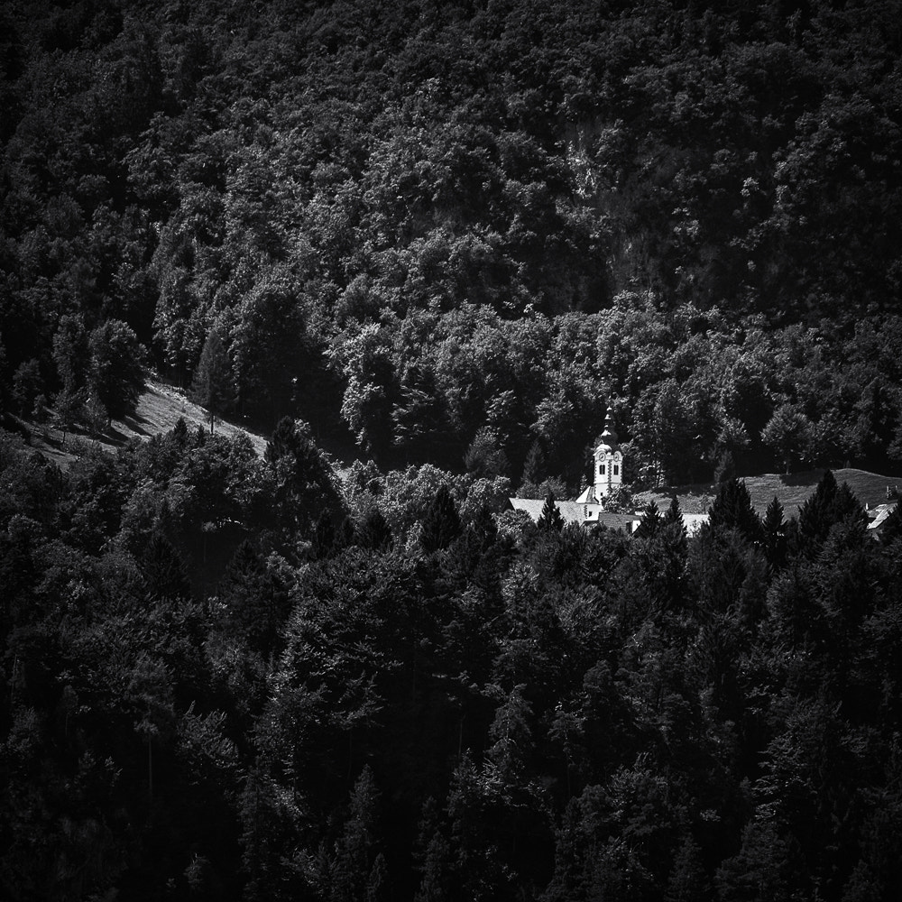 Near Selo pri Bledu | Slovenia