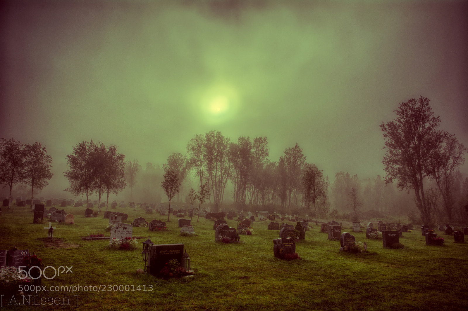 Nikon D7100 sample photo. Mist photography