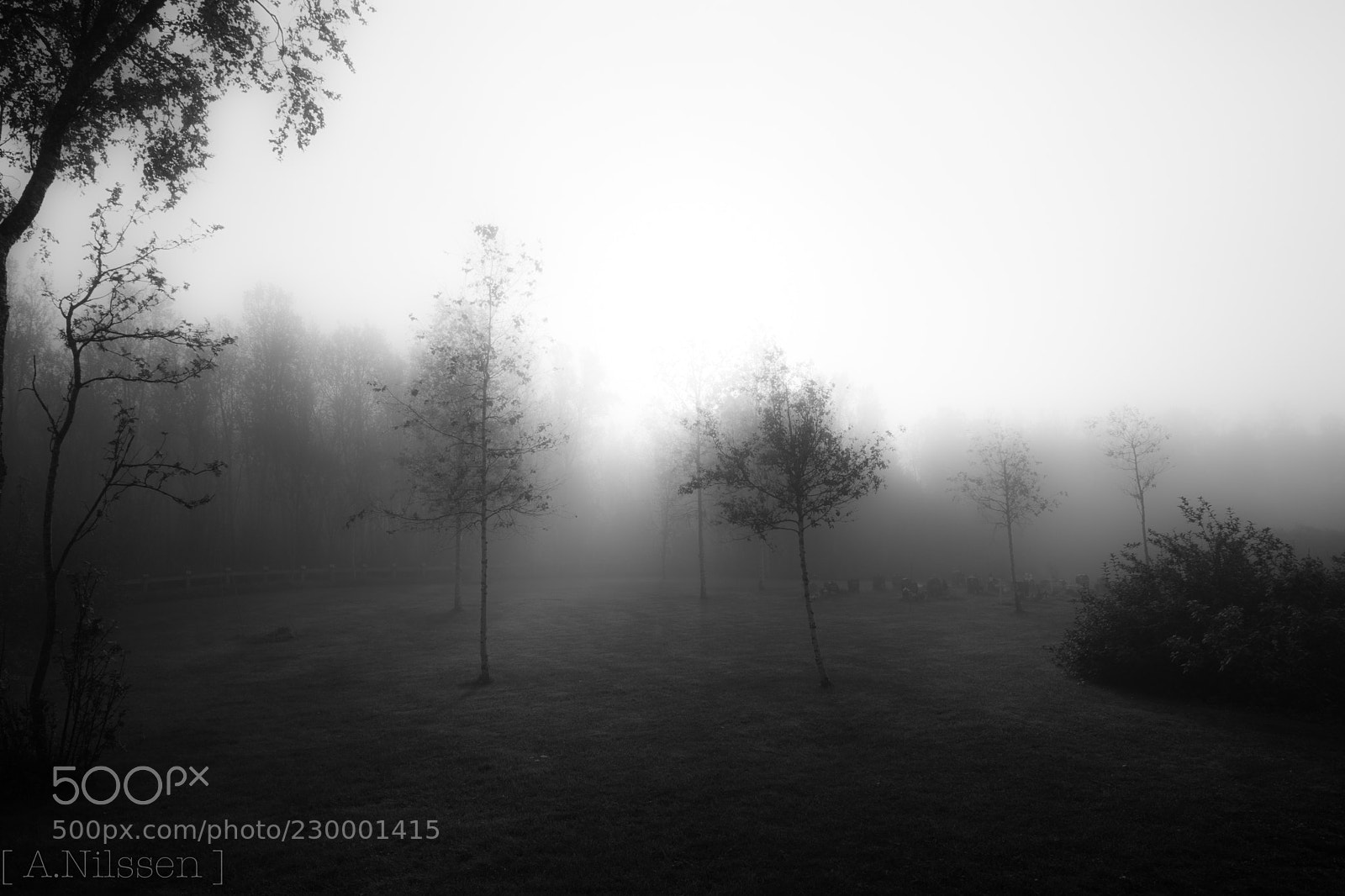 Nikon D7100 sample photo. Mist #2 photography