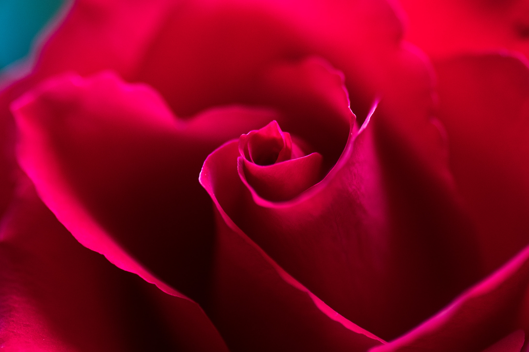 LoveRed