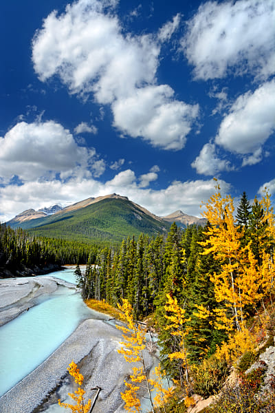 Autumn along the Icefields Parkway
