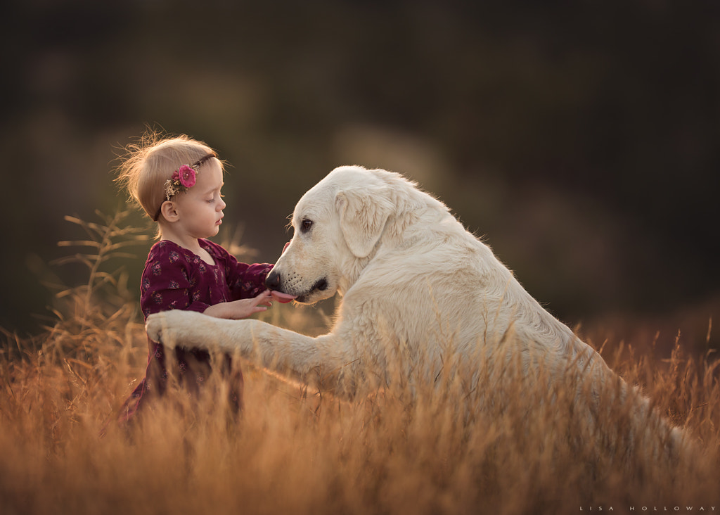 Her Guardian by Lisa Holloway on 500px.com