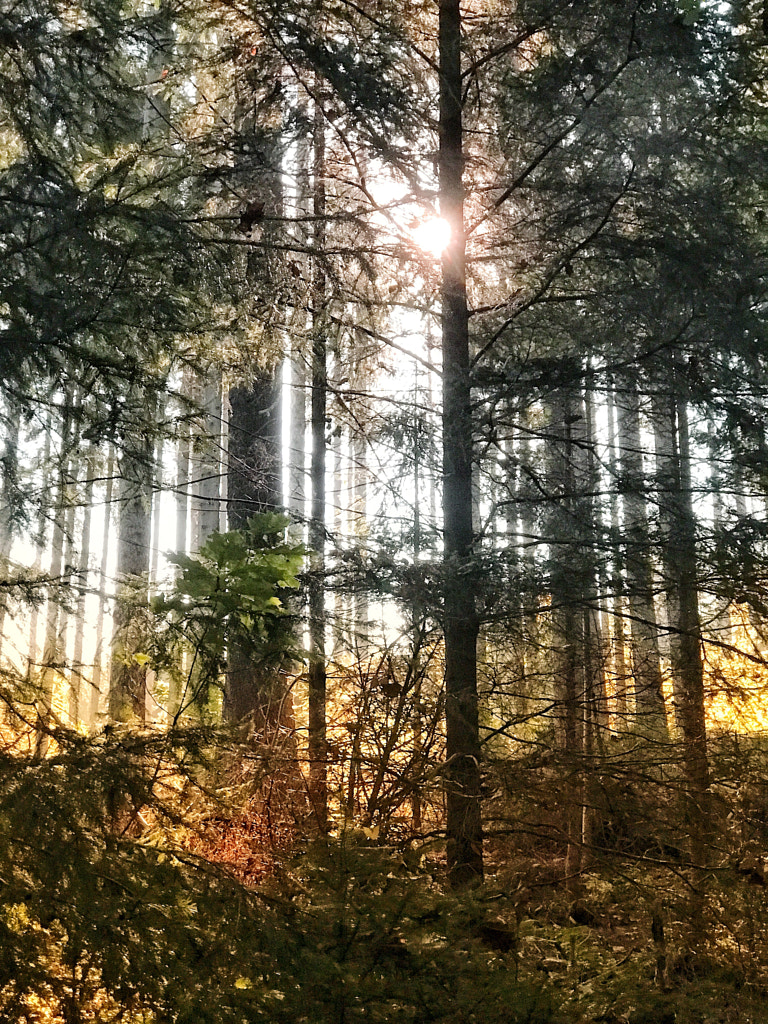 lights von dirk derbaum auf 500px.com