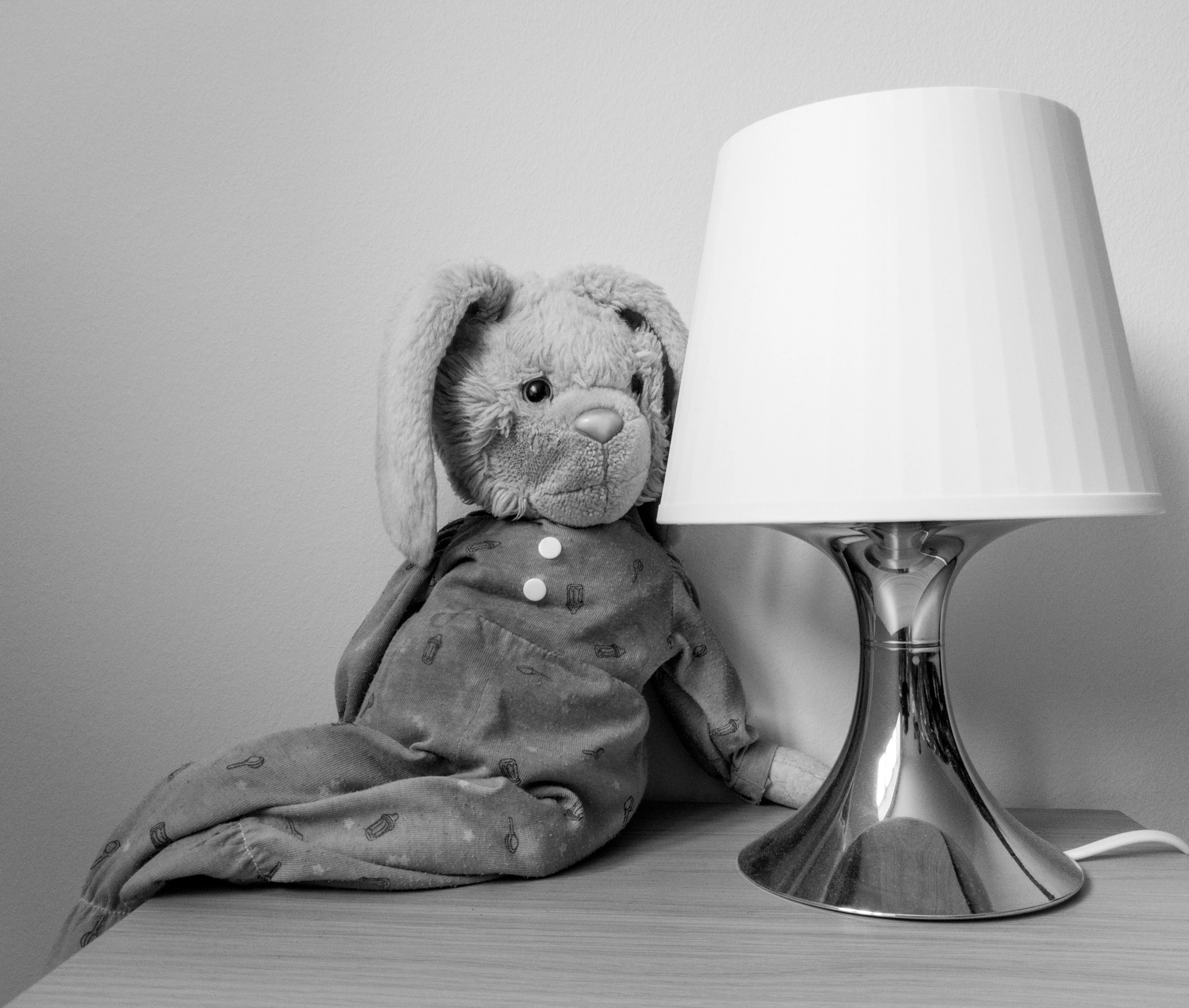 Bunny and a lamp