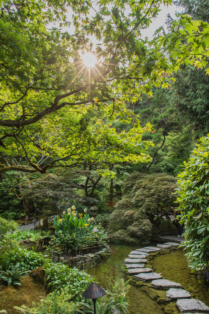 The Japanese Garden Victoria by Matt MacDonald on 500px.com