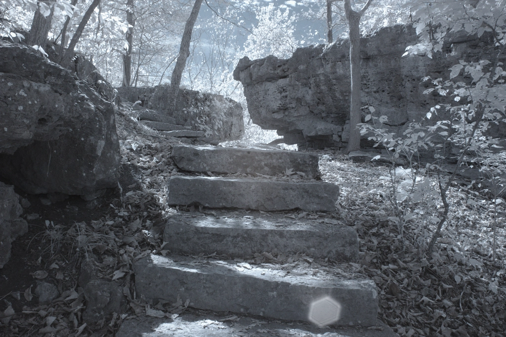 Stairs Beneath the Canopy 2 by Geoff Box on 500px.com