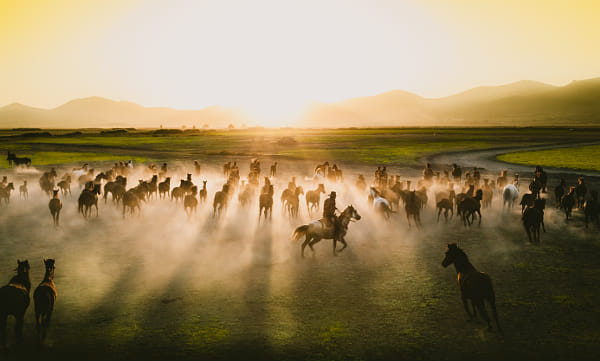 wildlife by Bahadir Sansarci on 500px.com