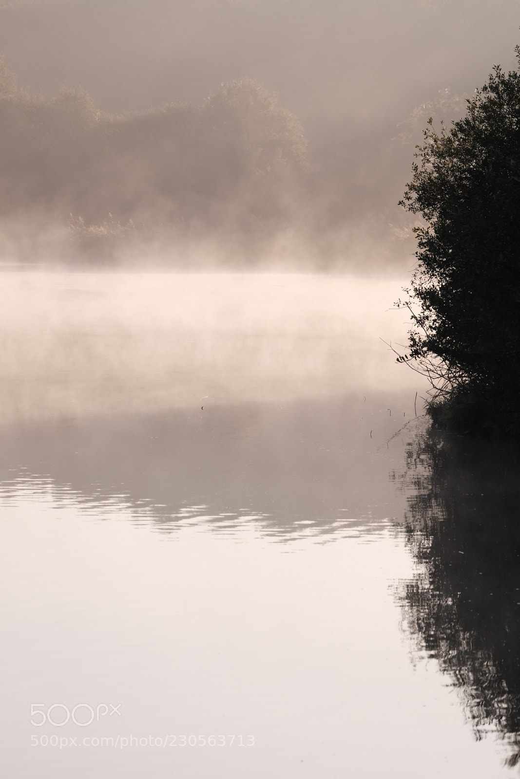 Fujifilm X-T1 sample photo. Sunrise mist in sologne's photography