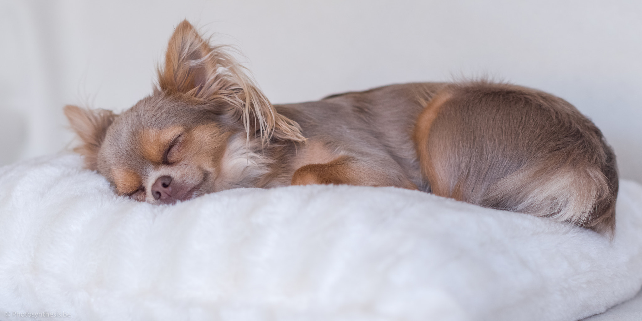 Asleep