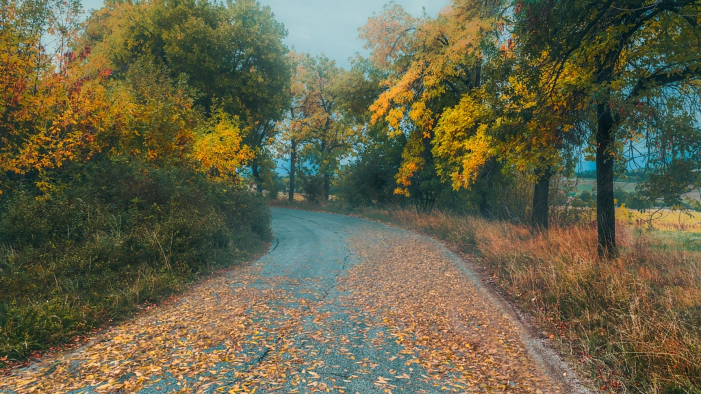 Autumn road by Milen Mladenov on 500px.com