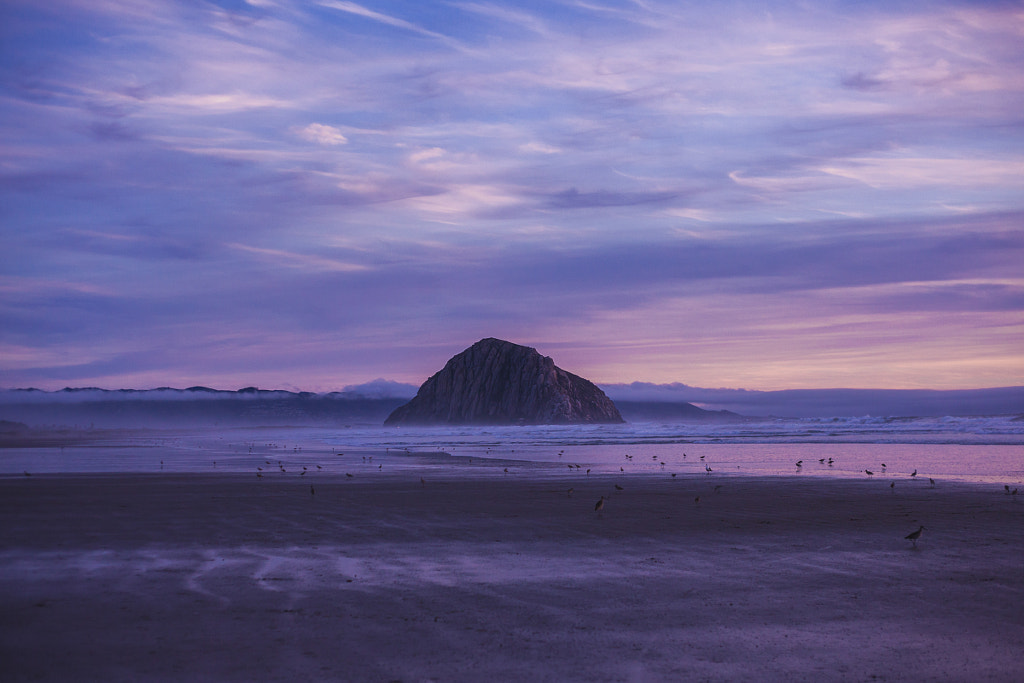 Sunset on the California Coast, автор — Matt Lief Anderson на 500px.com