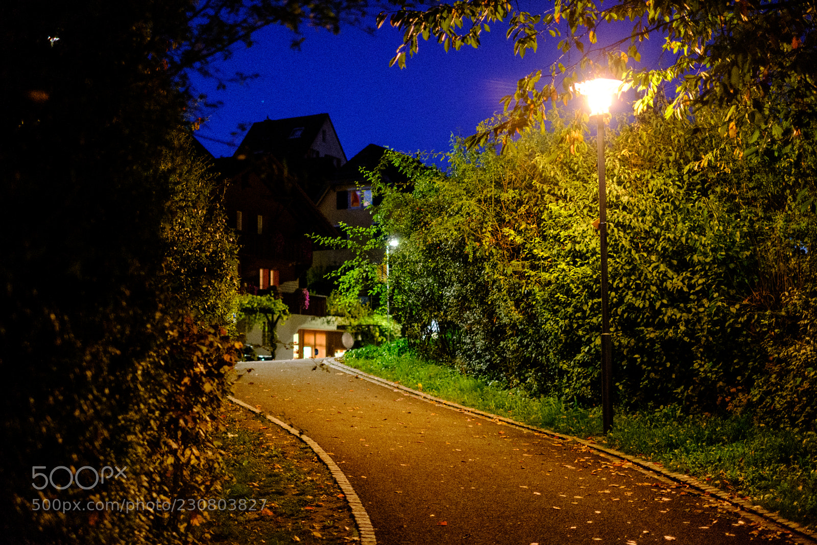 Fujifilm X-Pro2 sample photo. Autumn nights photography