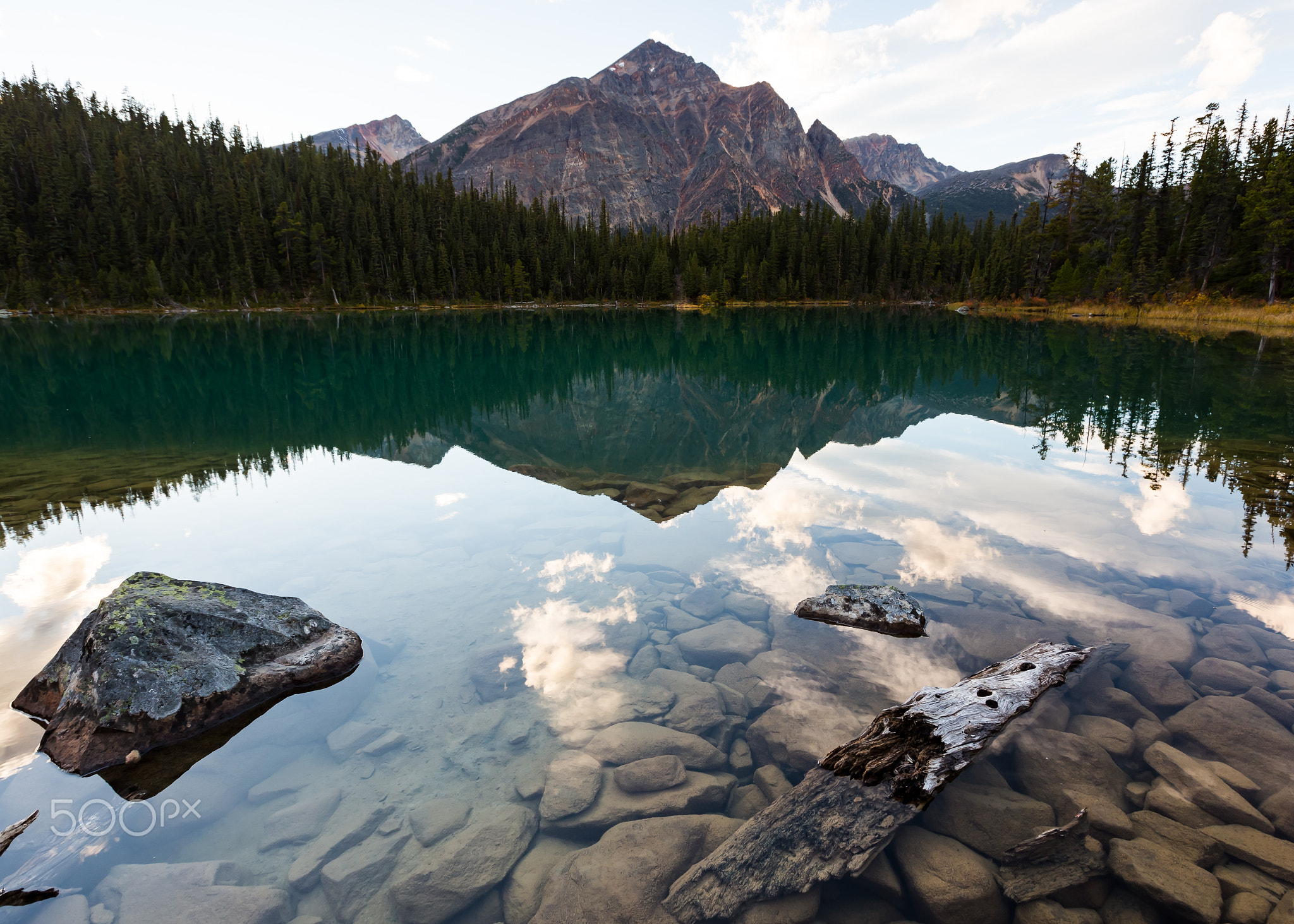 Cavell Lake Reflection