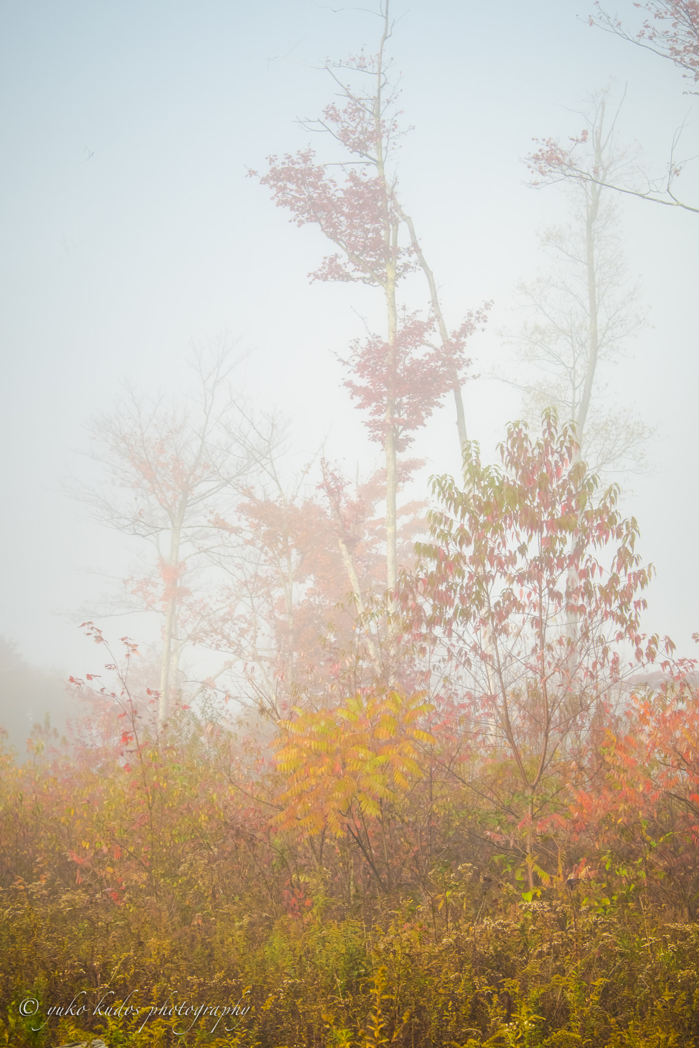 v2?sig=c3f5b2d3b6d54d096220bff88ac4df6929e4f1cf1673466fa302a458a48123a2