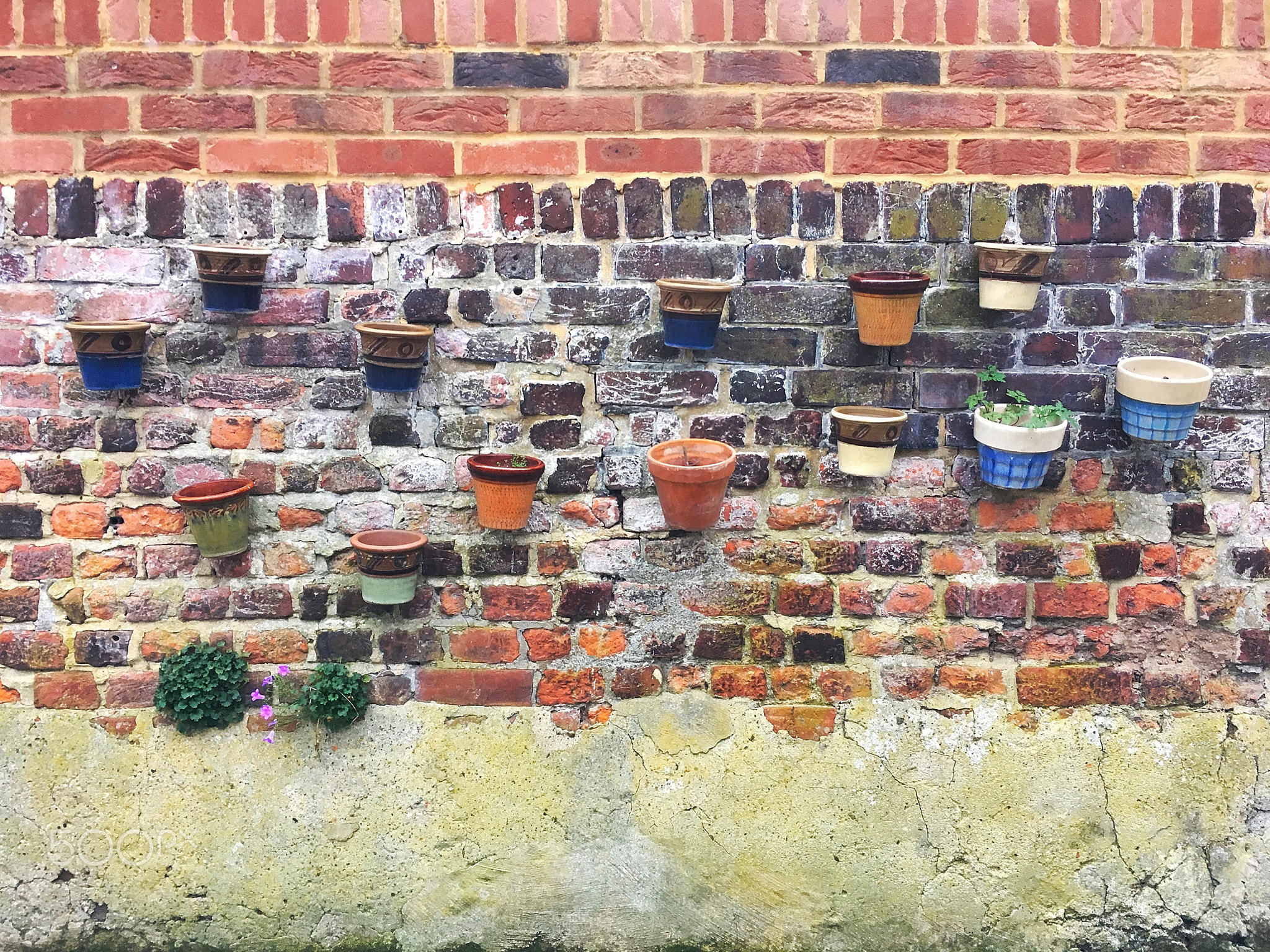 Potted Wall