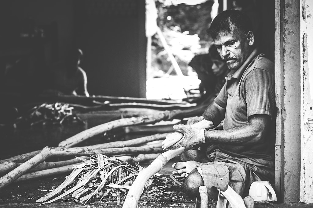 Cinnamon Peelers, Padukke, Sri Lanka 3 Son of the Morning Light