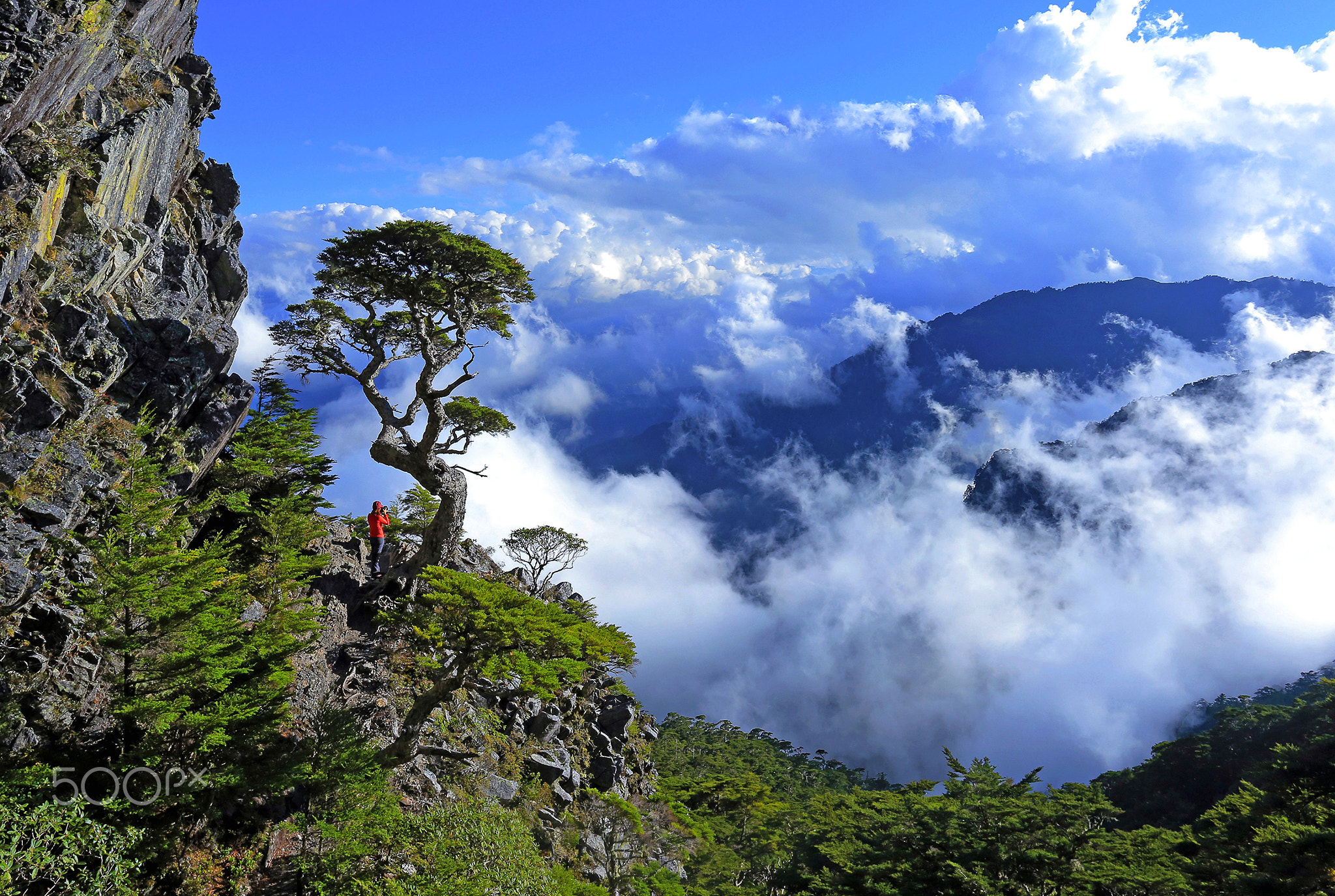 Beautiful landscape of high mountain forests and cliffs