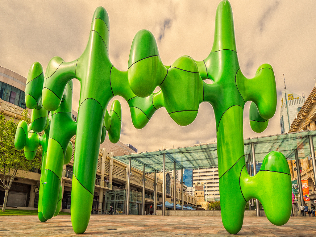 The Cactus by Paul Amyes on 500px.com