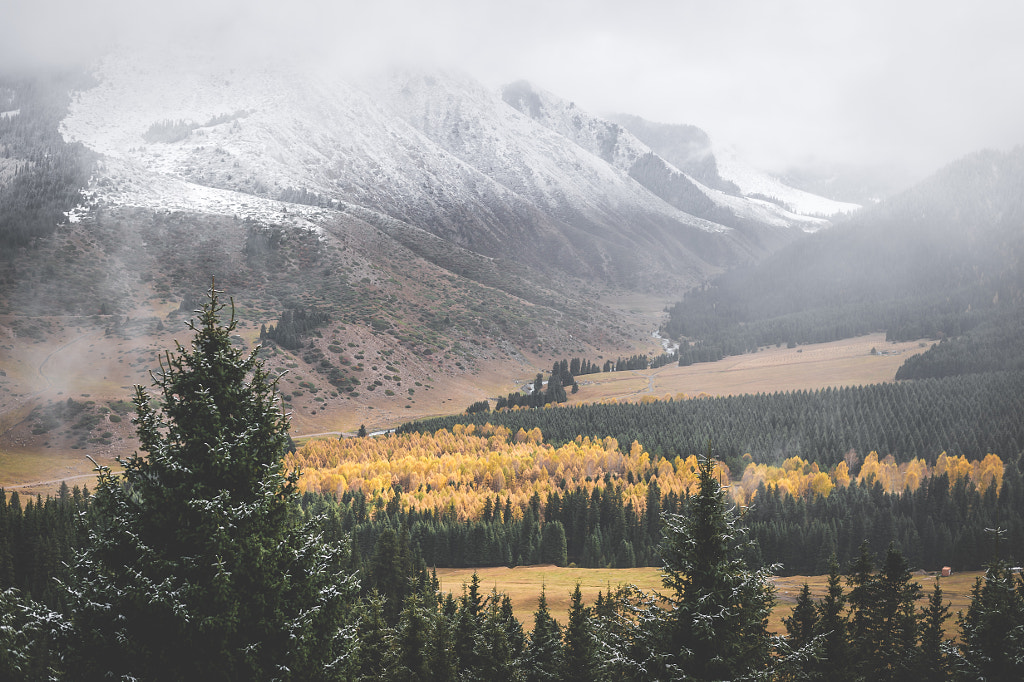 When tones come together. by Jelle Canipel on 500px.com