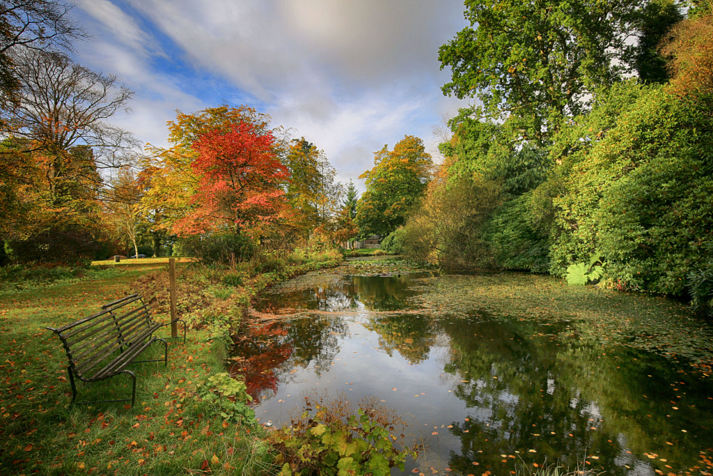 AUTUMN IN THE PARK by Hilda Murray on 500px.com