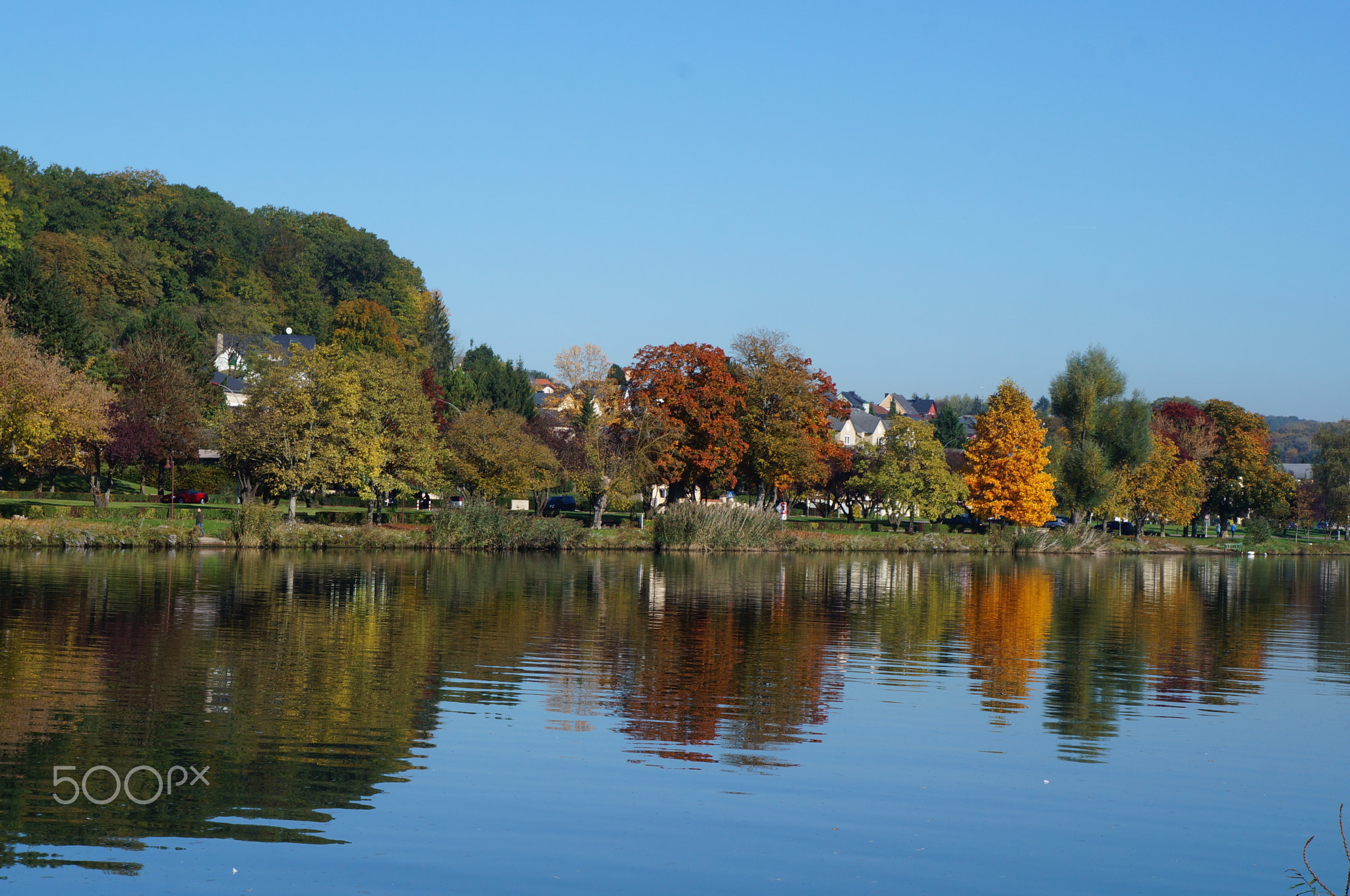 The Mosel mirror