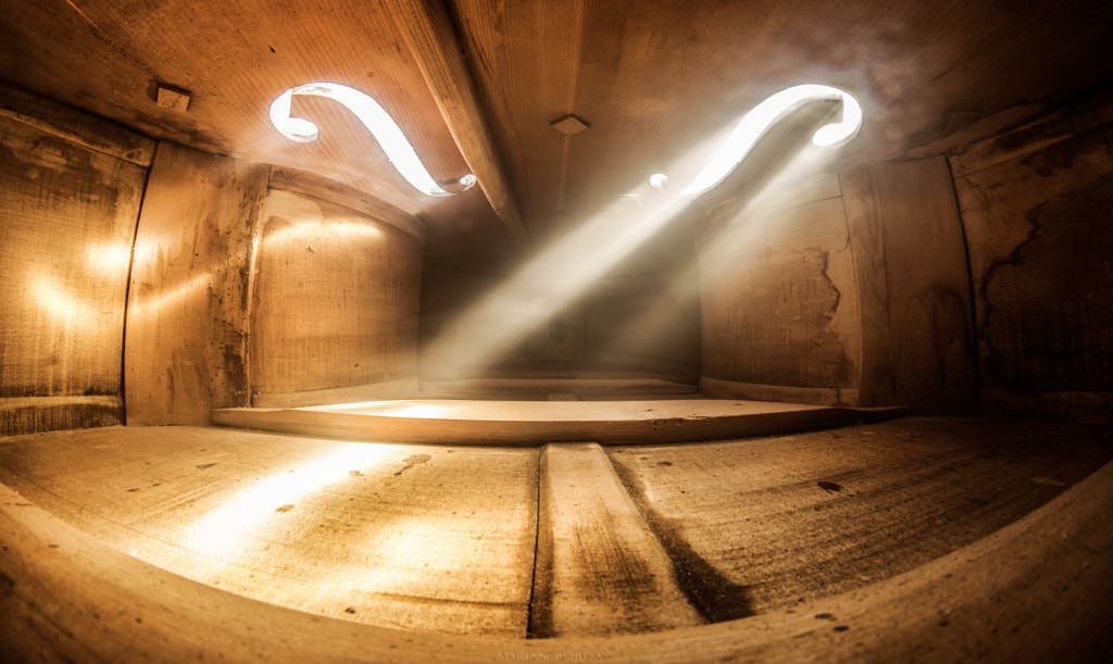 In Music I Believe de Adrian Borda en 500px.com