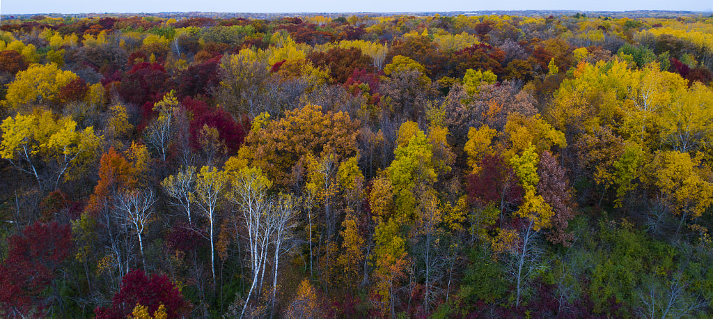 Drone Fall Colors Wide by Binary Blogger on 500px.com