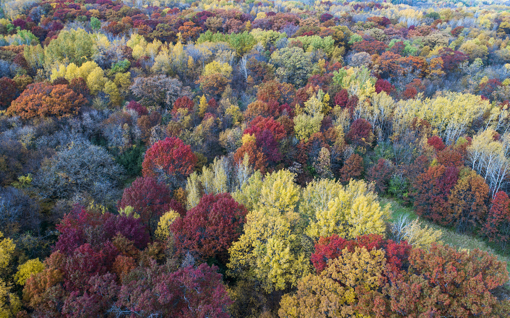 Drone Fall Colors Full by Binary Blogger on 500px.com
