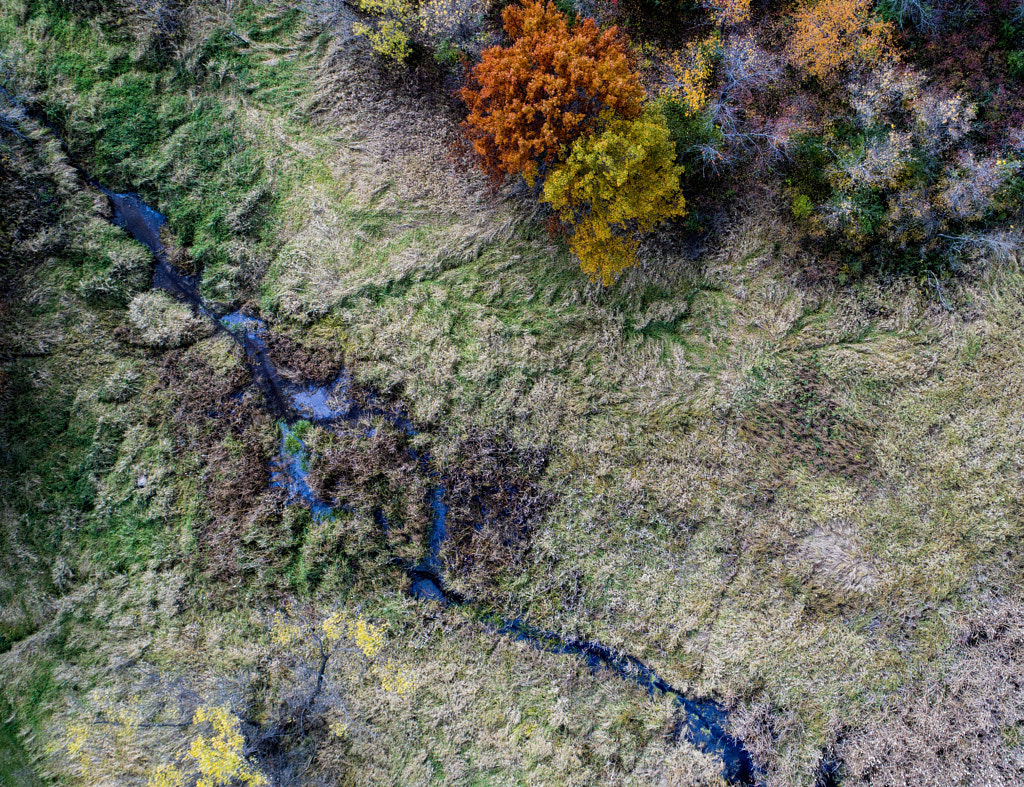 Drone Fall Colors Creek by Binary Blogger on 500px.com