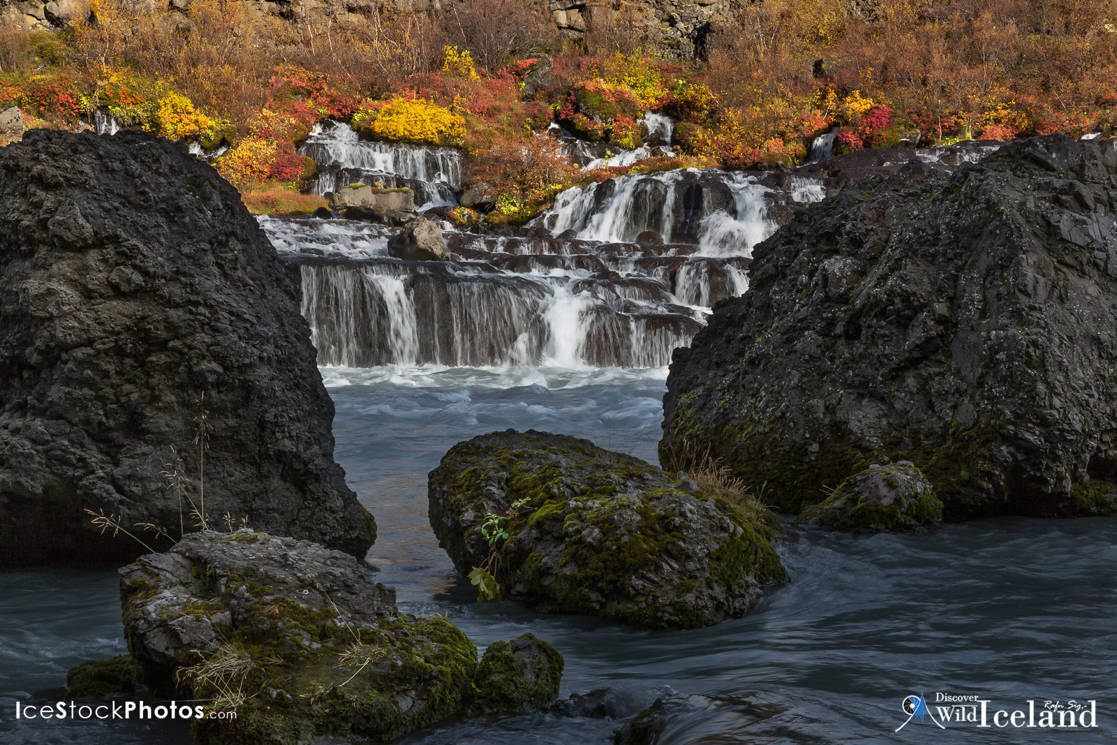 Hraunfossar. The Colors of Autumn