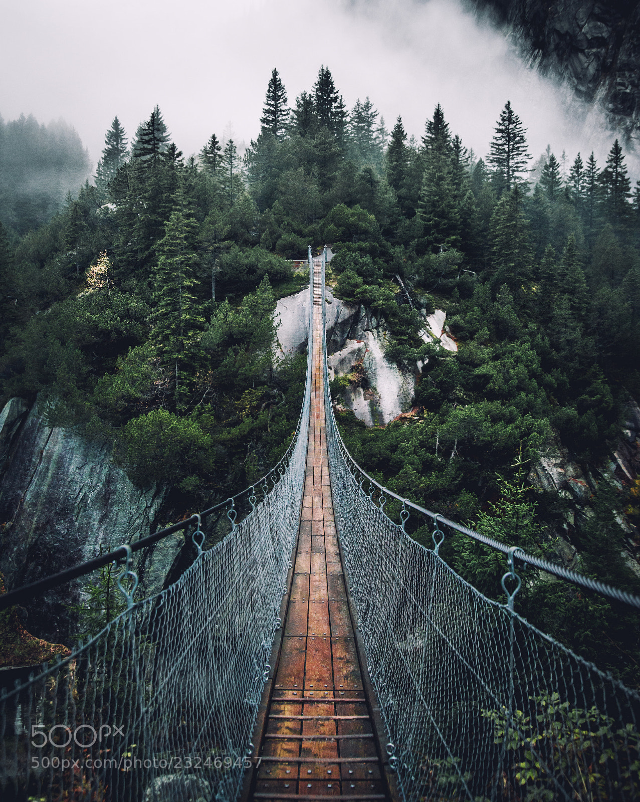 Nikon D610 sample photo. Bridge photography