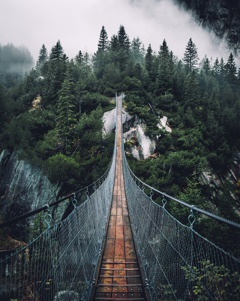 Bridge by Witold Ziomek on 500px.com