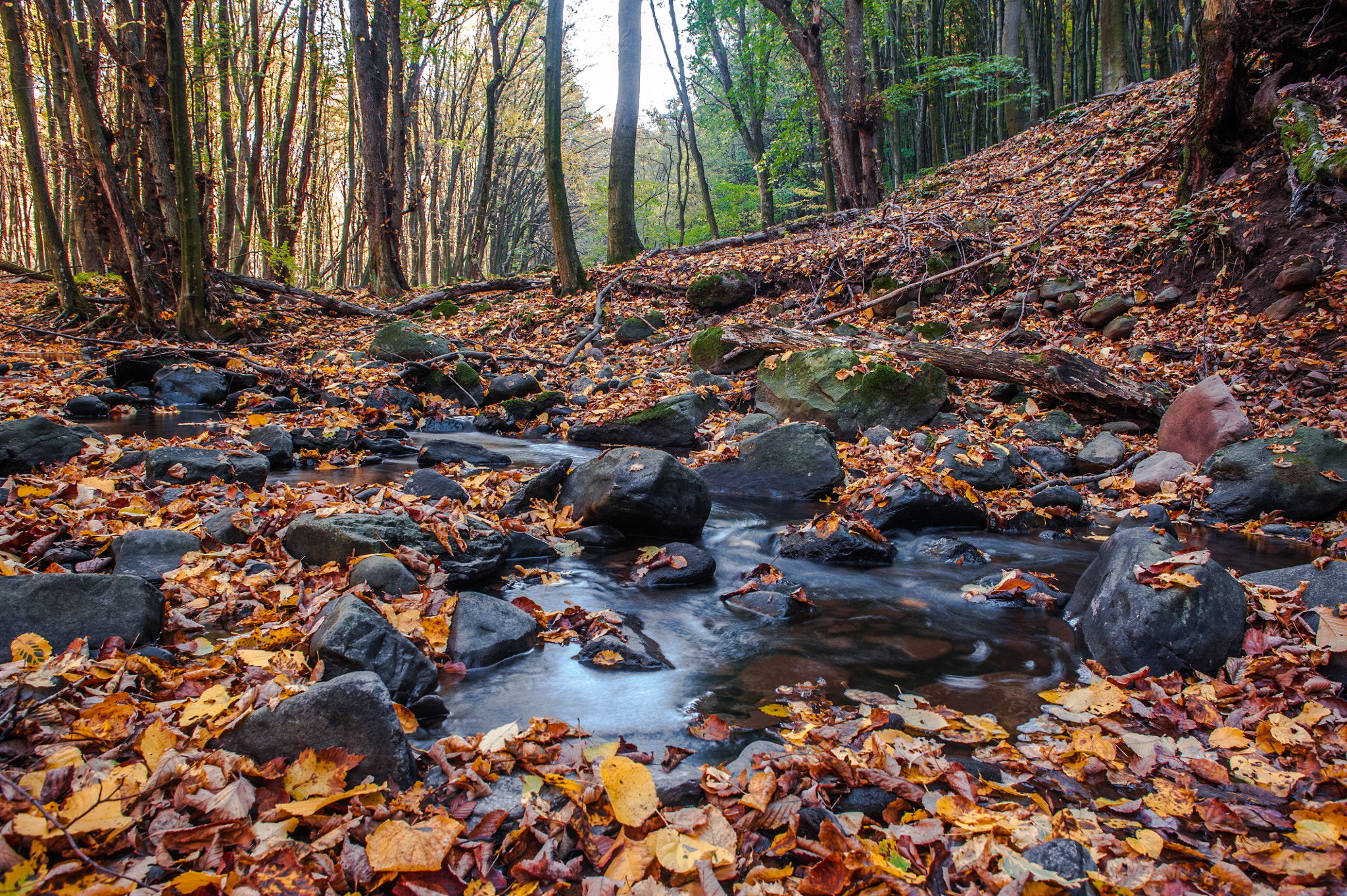 Kemence Creek