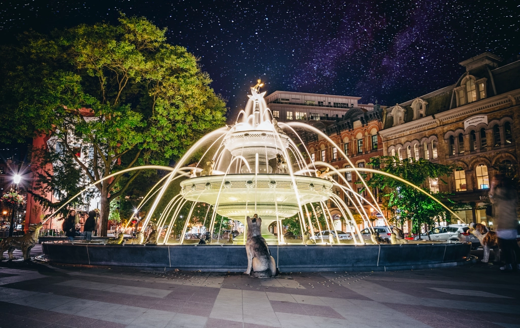 Dog Fountain At Night by Viv Lynch on 500px.com