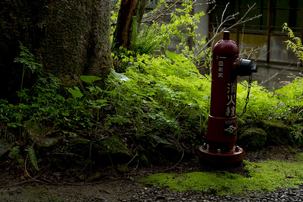 500px.comのYasuhiro Matsunamiさんによるfire hydrant