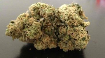 king kush weed - Weed for sale online